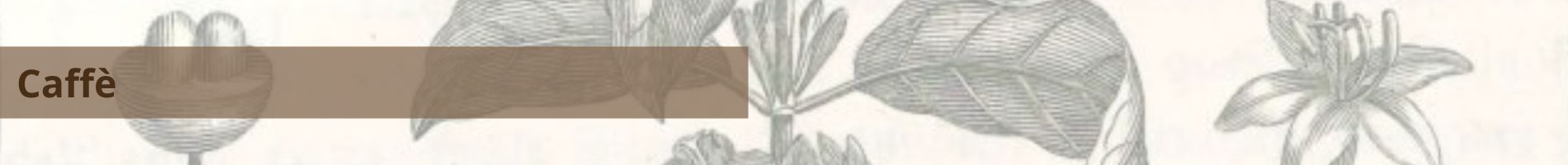 Banner Caffè