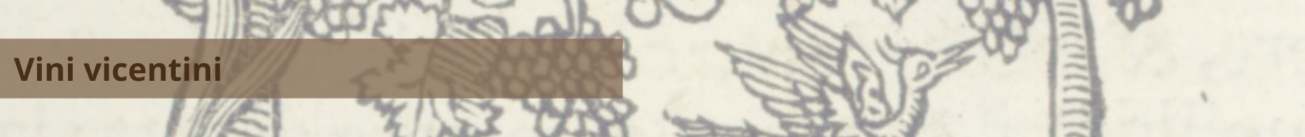 Banner-Vini vicentini